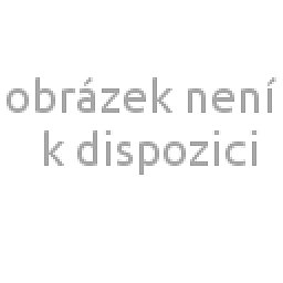 Obrázek pro produktPony jehlice kruhová 40cm – 3,00